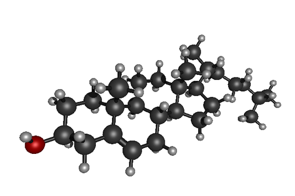 Cholesterol molecule